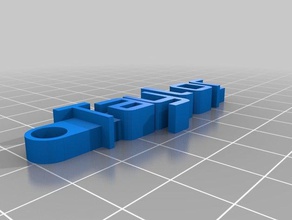 taylor llavero organización personalizado 3d print model - Mito3D
