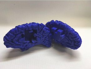 la sensibilisation à l'autisme cerveau de puzzle sculptures du les neurosciences 3d print model - Mito3D