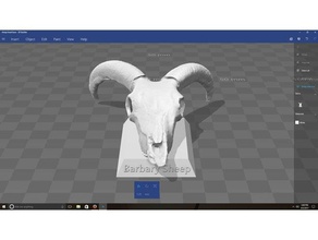 barbary sheep skull scans & replicas 3d print model - Mito3D
