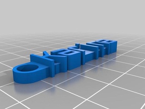 my customized message keychain karina organization 3d print model - Mito3D