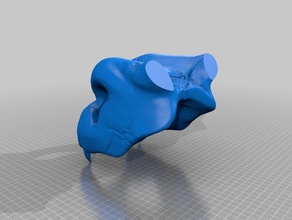 dracaufeu crâne de taille complète les créatures 3d print model - Mito3D
