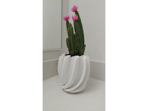 cactus plantador de 1 decoração 3d print model - Mito3D