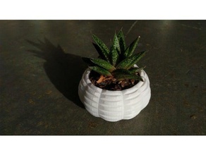 mini planter 2 household 3d print model - Mito3D