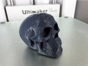 low poly celtic skull scans & replicas 3d print model - Mito3D
