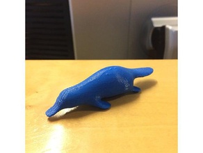 platypus animals animal 3d print model - Mito3D