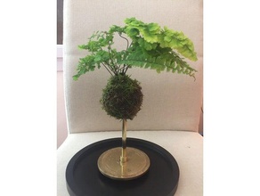 kokedama central-watering diy bonsai hose connector plant plants stand watering water 3d print model - Mito3D