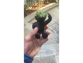 cactus en la cabeza raíces agujero decoración 3d print model - Mito3D
