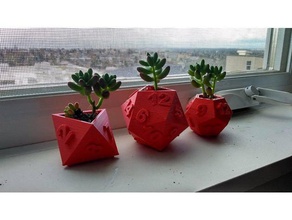 dés succulentes planteurs décor 3d print model - Mito3D