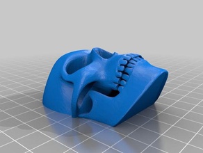 skull face remix 3d printing 3d print model - Mito3D
