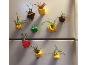 air plant holders decor airplant fridge magnet holder mothers day office cubical pot refrigerator 3d print model - Mito3D