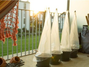 tomato greenhouse pot growing tomatos outdoor & garden balcony grow home tomatoes 3d print model - Mito3D