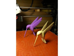 Kolibri 3d-drucken 3d print model - Mito3D