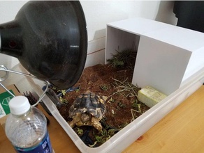 basic tortoise house diy turtle 3d print model - Mito3D