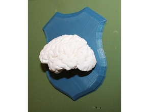 Gehirn-Trophäe Skulpturen Gehirn magnet psychonauts trophy Wand Aufhänger 3d print model - Mito3D