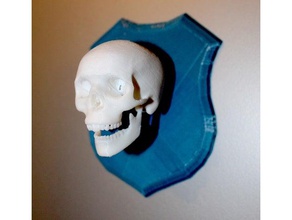 skull trophy sculptures human 3d print model - Mito3D
