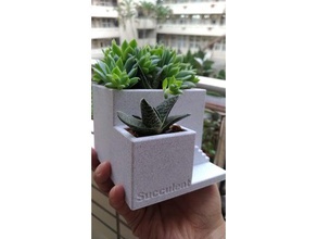 cement like succulent pot outdoor & garden 3dmodel flower 3d print model - Mito3D