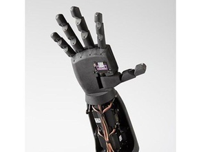 humanoid robotic hand robotics arm hand humanoid robot robotic robotics servo 3d print model - Mito3D