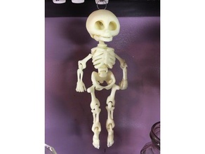 um pedaço de impressão abanar o esqueleto pessoas ossos educacionais presente 3d print model - Mito3D