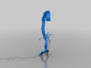 aorta biologia l'anatomia umana 3d print model - Mito3D