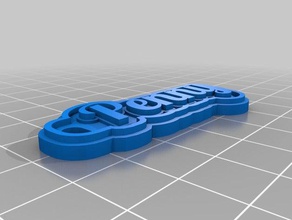 penny llaveros personalizado 3d print model - Mito3D