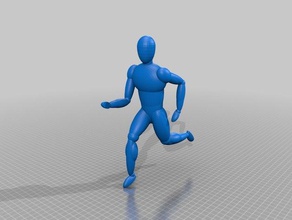 corps humain L'impression 3d 3d print model - Mito3D