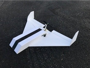 old versionboxwing rc airplane r c vehicles 3d print model - Mito3D