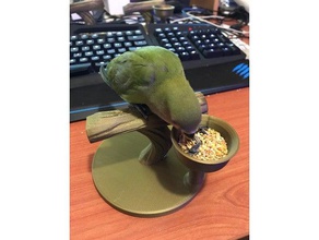 uccello stand di alimentazione gli animali domestici 3d print model - Mito3D