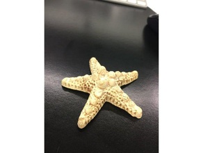 las estrellas de mar La impresión en 3d 3d print model - Mito3D