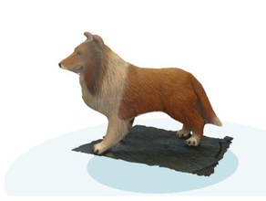 rough collie gli animali domestici 3d print model - Mito3D