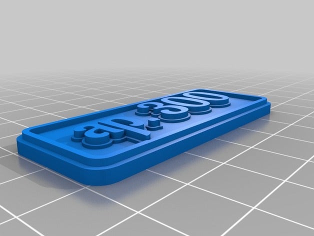 300 de porte-clés personnalisé 3D print model - Mito3D