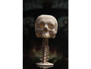 skullcup mutfak ve yemek kap insan kafatası omurga 3d print model - Mito3D