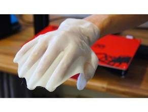 webbed glove sport & outdoors hand 3d print model - Mito3D