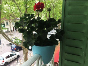 um vaso de planta suspensão plantio produtos para casa decoração a jardim jardinagem interior design interiores plantadeira plantadores igrejas plantas estande pote urbano urbana rega 3d print model - Mito3D