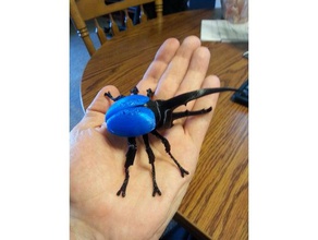 hercules besouro animais erro inseto 3d print model - Mito3D