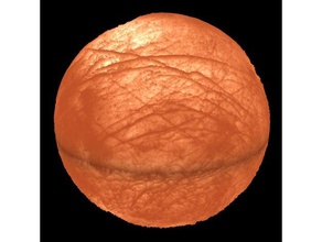 europa lamba fizik ve astronomi cassini ethan nan gallilean jovian Jüpiter uzaydan 3d print model - Mito3D