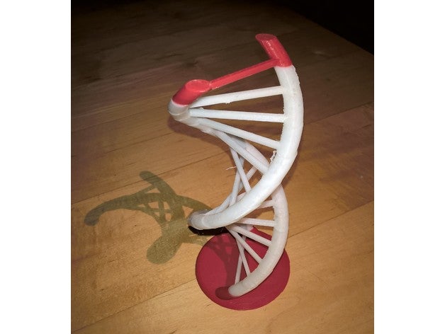 dna sarmalı biyoloji helix 3D print model - Mito3D