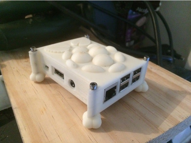 raspberry pi 3 caso - custom remix equipo 3D print model - Mito3D
