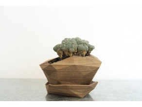 fioriera 3 all'aperto e giardino cactus vaso di fiori low poly pot piante grasse 3d print model - Mito3D