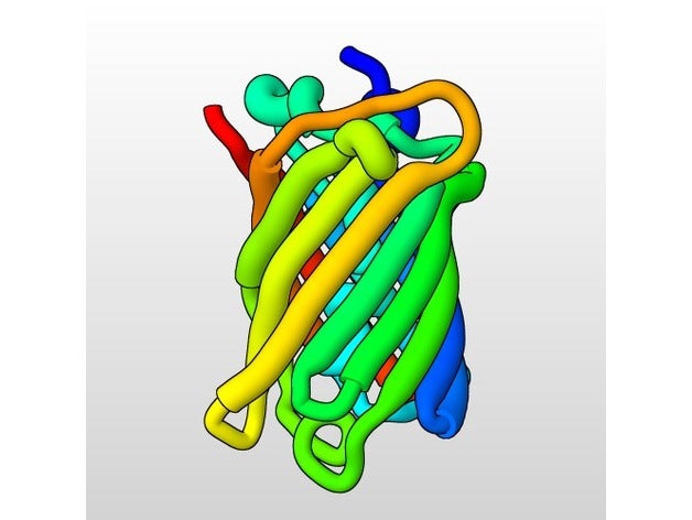 1gfl gfp - yeşil floresan protein biyoloji 3D print model - Mito3D