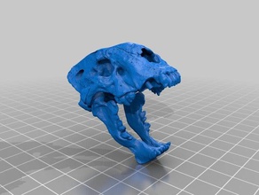 crânio pendente A impressão 3d 3d print model - Mito3D