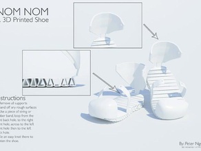 nom v10 - impreso en 3d zapato diy zapatos wip 3d print model - Mito3D