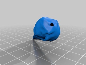 common loon head 3d printing 3d print model - Mito3D