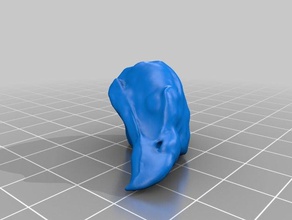red tailed hawk head 3d printing 3d print model - Mito3D
