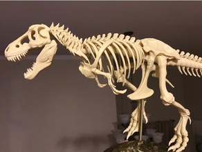 t-rex skeleton fixed printable creatures bone bones dinosaur fossil fossils skull crossbones trex trexremix tyrannosaurus rex 3d print model - Mito3D