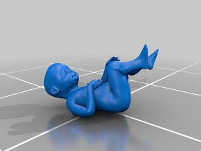 human fetus models baby blender blind dicom medical pregnancy sculpture unborn 3d print model - Mito3D