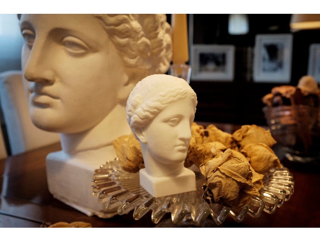 venus arles head scans & replicas 3d scanner cast laser louvre love nextengine plaster replica 3D print model - Mito3D