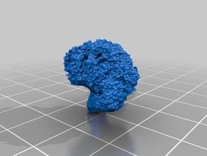 broccoli scaned 3d printing 3d print model - Mito3D