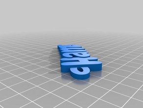 hannes organization customized 3d print model - Mito3D