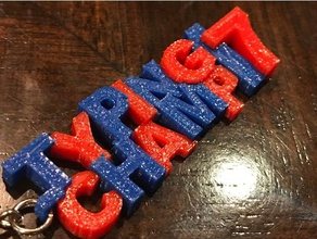 two color typing champ keychain keychains 2 award reward student 3d print model - Mito3D