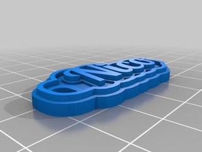 nico Schlüsselanhänger kundengebundene 3d print model - Mito3D